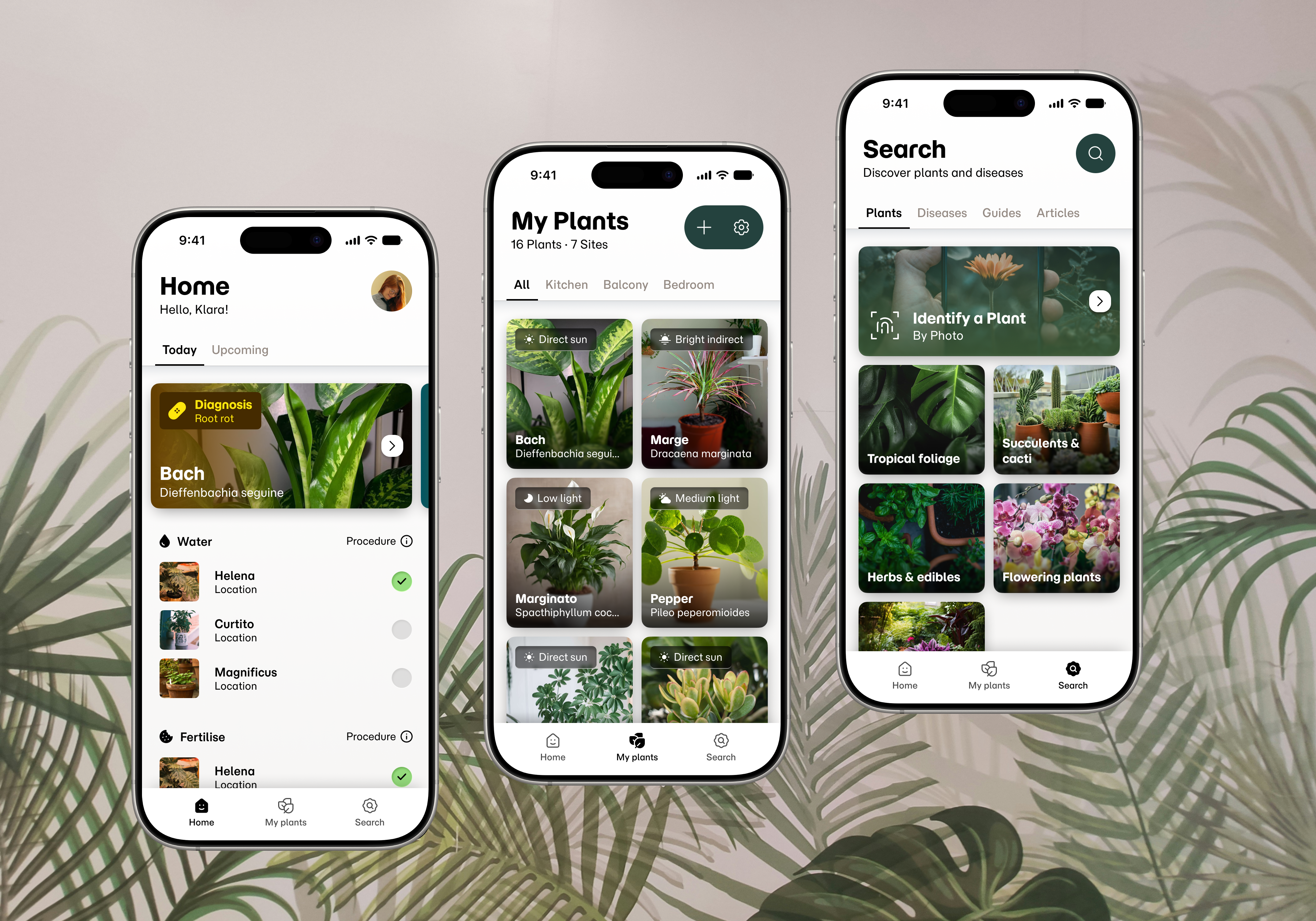 Preview image of the Sproutly case study
